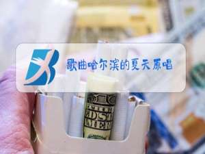 歌曲哈尔滨的夏天原唱