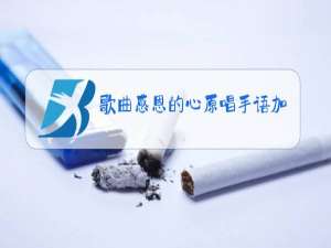 歌曲感恩的心原唱手语加歌词