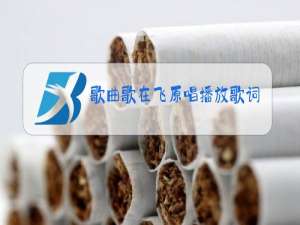 歌曲歌在飞原唱播放歌词