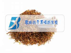 歌曲鸽子原唱胡里奥