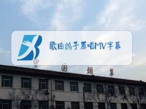 歌曲鸽子原唱MV字幕