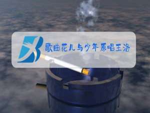 歌曲花儿与少年原唱王洛宾