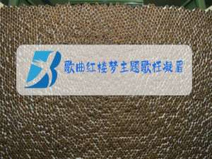 歌曲红楼梦主题歌枉凝眉原唱的啊