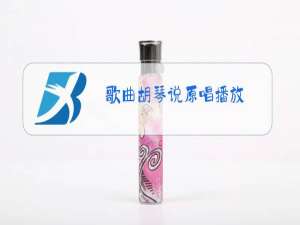 歌曲胡琴说原唱播放