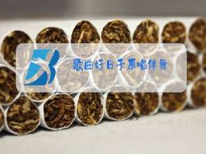 歌曲好日子原唱伴舞