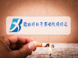 歌曲好日子原唱视频好运来