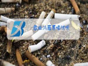 歌曲鸿雁原唱试听