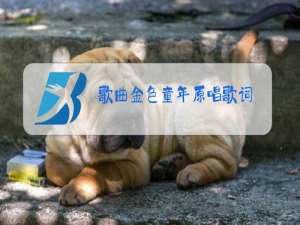 歌曲金色童年原唱歌词