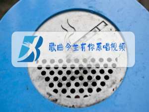 歌曲今生有你原唱视频