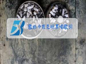 歌曲今夜无眠原唱歌词