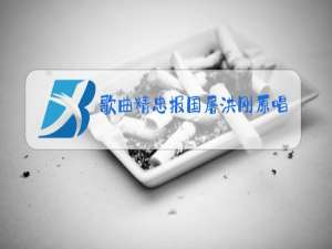 歌曲精忠报国屠洪刚原唱