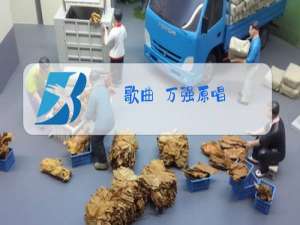 歌曲巜万强原唱