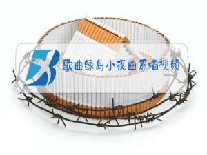 歌曲绿岛小夜曲原唱视频