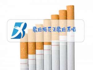 歌曲梅花泪歌曲原唱