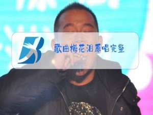 歌曲梅花泪原唱完整