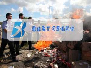 歌曲梨花颂原唱简谱