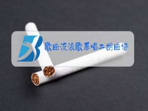 歌曲流浪歌原唱二胡曲谱