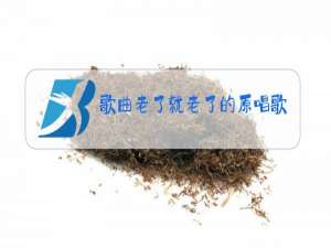 歌曲老了就老了的原唱歌谱词