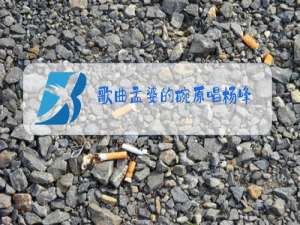 歌曲孟婆的碗原唱杨峰