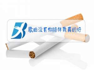 歌曲没有你陪伴我真的好孤单原唱歌词