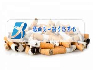 歌曲另一种乡愁原唱