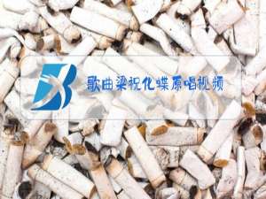 歌曲梁祝化蝶原唱视频