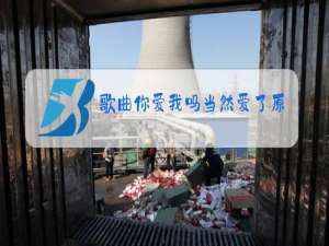 歌曲你爱我吗当然爱了原唱