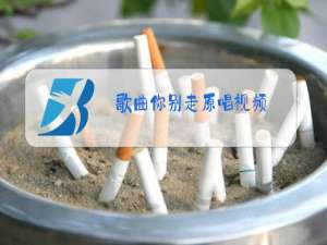 歌曲你别走原唱视频,原唱叫翔