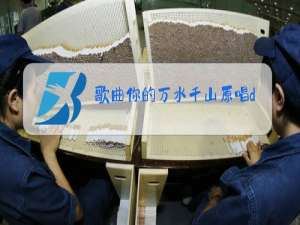 歌曲你的万水千山原唱dj