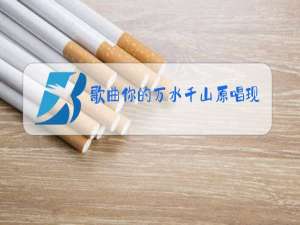 歌曲你的万水千山原唱现场视频