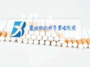 歌曲你的样子原唱视频