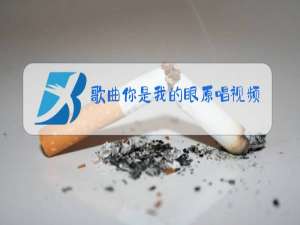 歌曲你是我的眼原唱视频黄校长