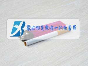 歌曲你是我唯一的执着原唱mp3