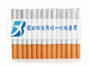 歌曲你是我唯一的执着原唱试听