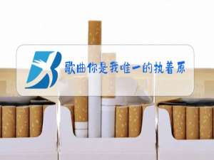 歌曲你是我唯一的执着原唱女声