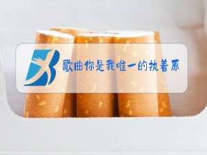 歌曲你是我唯一的执着原唱伤心的女