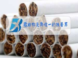 歌曲你是我唯一的执着原唱下载