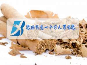 歌曲你是一个好人原唱歌洞