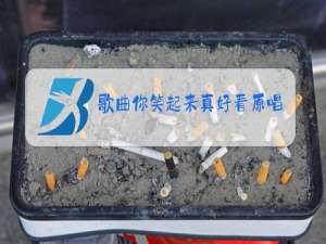 歌曲你笑起来真好看原唱免费