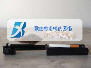 歌曲你走吧的原唱