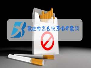 歌曲你怎么说原唱带歌词