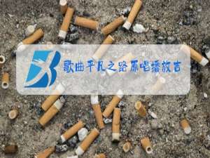 歌曲平凡之路原唱播放吉他