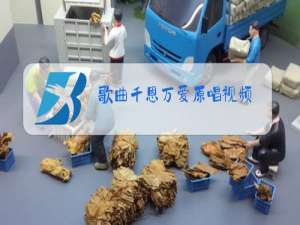 歌曲千恩万爱原唱视频