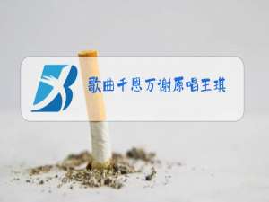 歌曲千恩万谢原唱王琪