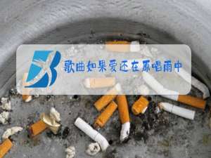 歌曲如果爱还在原唱雨中百合一