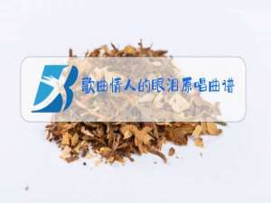 歌曲情人的眼泪原唱曲谱