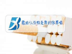歌曲认识你是我的缘原唱