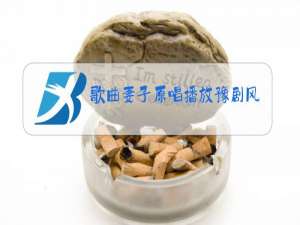 歌曲妻子原唱播放豫剧风抽大庙门