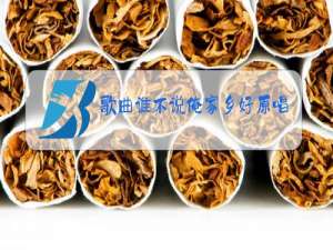 歌曲谁不说俺家乡好原唱.红日插曲