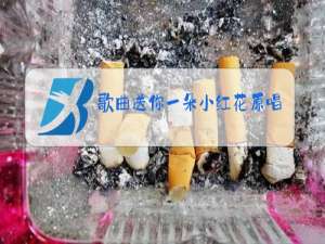 歌曲送你一朵小红花原唱